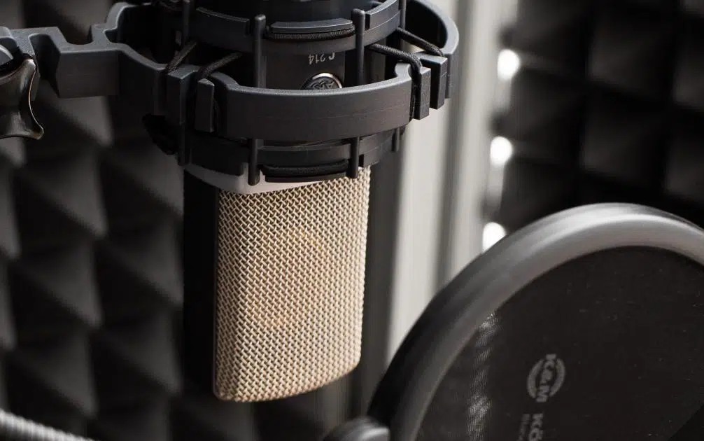 AKG C214 Condenser Stüdyo Mikrofonu