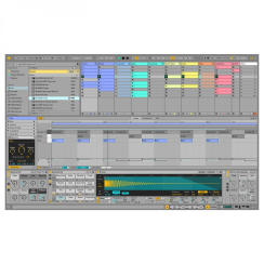 Ableton Live 12 Standart Yazılım - 6