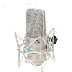 Alctron PM30C Condenser Mikrofon - Alctron