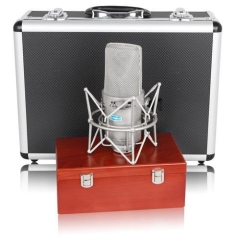 Alctron PM30C Condenser Mikrofon - 2