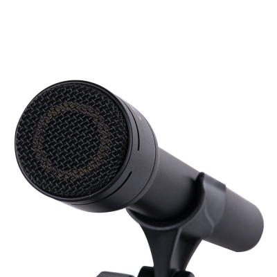 Alctron RE660 El Tipi Mikrofon - 4