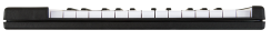 Arturia MicroLab 25 Tuş Midi Klavye - 3