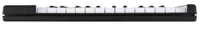 Arturia MicroLab 25 Tuş Midi Klavye - 3
