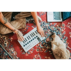 Arturia MiniLab 3 Alpine White - 25 Tuş Midi Klavye - 12