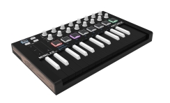 Arturia MiniLab MK II Inverted Edition Midi Klavye - Arturia