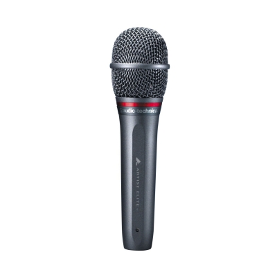Audio-Technica AE6100 Dinamik Mikrofon - 1