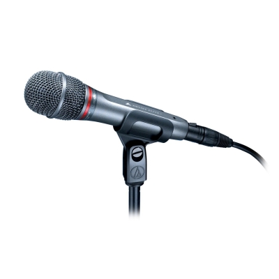Audio-Technica AE6100 Dinamik Mikrofon - 2