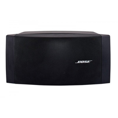 Bose DS100SE Duvar Tipi Hoparlör - 1