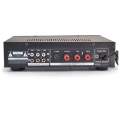 Dexun D60 60 Watt Amfi - 2
