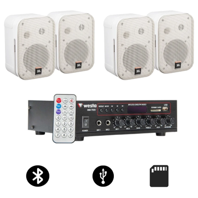 JBL Control 1 Pro Kafe ve Mağaza Ses Sistemi Paketi (4'lü Set) - 2