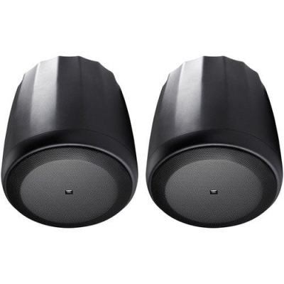 JBL CONTROL 60PS/T 8'' 300W Pasif Subwoofer (ÇİFT) - 1