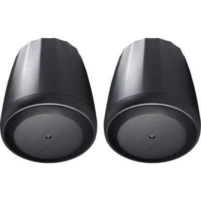 JBL CONTROL 65P/T Pasif Subwoofer (ÇİFT) - 1
