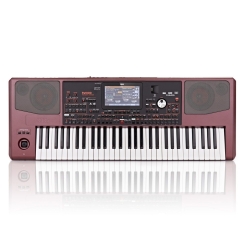 Korg PA1000 Profesyonel ORG Klavye - Korg
