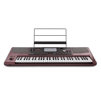 Korg PA1000 Profesyonel ORG Klavye - 2