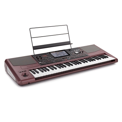 Korg PA1000 Profesyonel ORG Klavye - 3