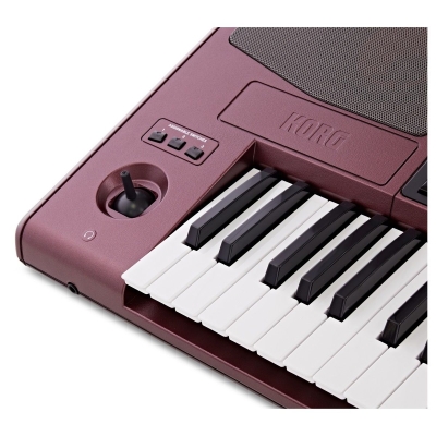 Korg PA1000 Profesyonel ORG Klavye - 4