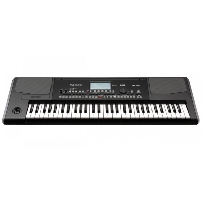 Korg PA300 61 Tuş Org - Klavye - 4