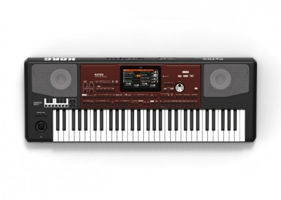 Korg PA700-OR Professional Klavye - 2