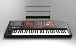 Korg PA700-OR Professional Klavye - 4
