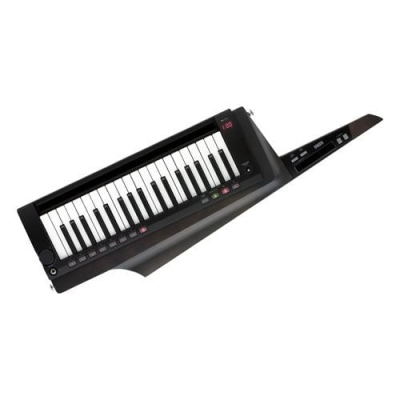 Korg RK-100S 2-BK - 1