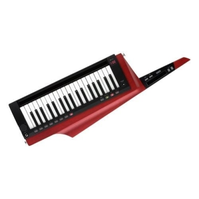 Korg RK-100S 2-RD - 1