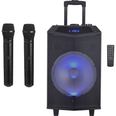 Oyility DK-12 300 Watt Mikrofonlu Taşınabilir Hoparlör - 1