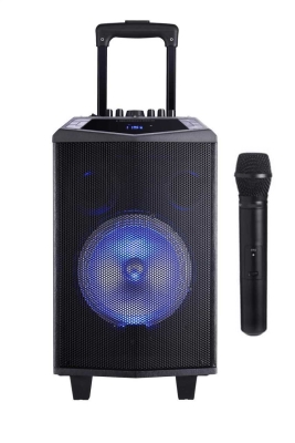 Oyility DK-12 300 Watt Mikrofonlu Taşınabilir Hoparlör - 2