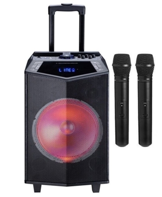 Oyility DK-15 400 Watt Mikrofonlu Taşınabilir Hoparlör - 1