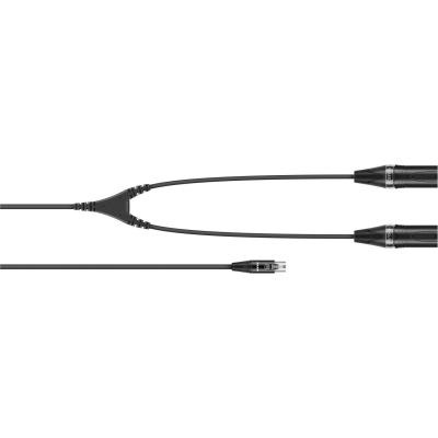 Sennheiser CA 6042 XLR Kablosu - 1
