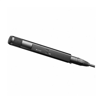 Sennheiser MKH 30 P 48 Shotgun Mikrofon - 1