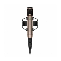Sennheiser MKH 800 Twin Ni Condenser Mikrofon - Sennheiser