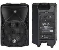 Topp Pro x10 10'' 2 Yollu Pasif Kabin Hoparlör - 1