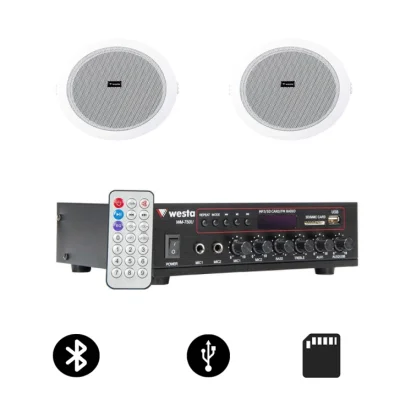 Westa 2'li Tavan Ses Sistemi Paketi (WM-750U Amfi + 2x WS-1013T) - 1