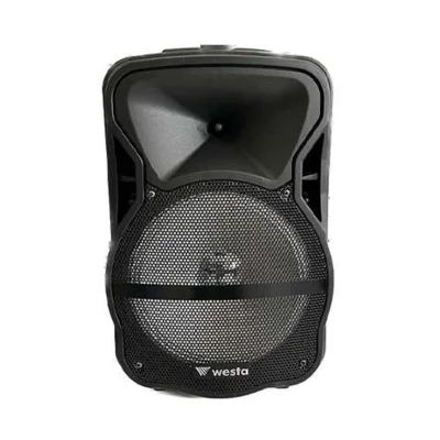 Westa WAP-1053E 10 '' 2 Yollu Şarjlı Aktif Kabin Hoparlör - 1