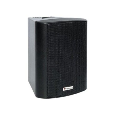 Westa WS-4TB Trafolu Duvar Tipi Hoparlör Siyah - 2