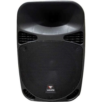 Westa WSA-12A 12 '' 2 Yollu Aktif Kabin Hoparlör - 1