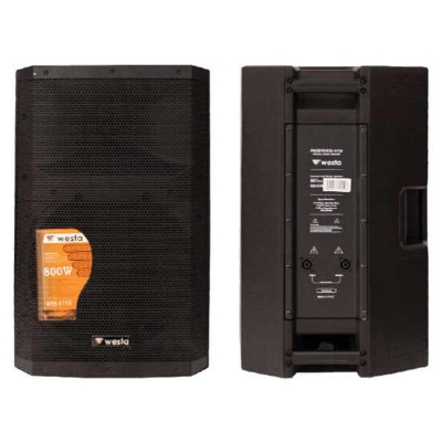 Westa WSS-1712 12 İnç 600 Watt 2 Yollu Pasif Hoparlör - 1