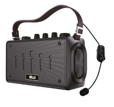 Wöller W-600H Kablosuz Headset Mikrofonlu Taşınabilir Hoparlör (100 Watt) - 1