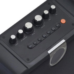Wöller W-610E Taşınabilir Şarjlı Bluetooth Hoparlör (El Mikrofonlu) - 3